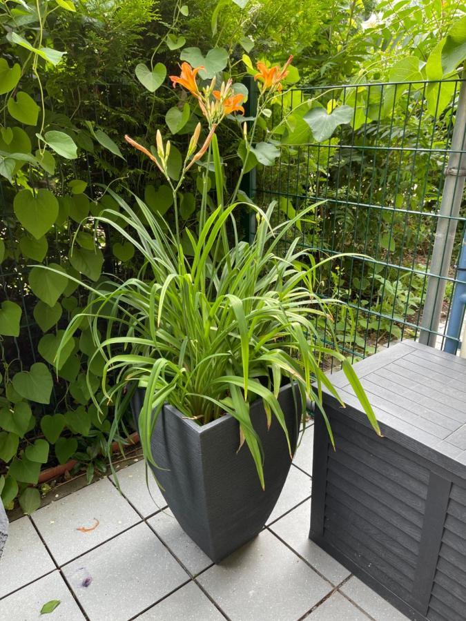 Sonnige Wohnung Im Zentrum Mit Terrasse U Tiefgarage - Netflix & Prime Leipzig Exterior foto